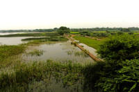 Karaivetti Bird Sanctuary